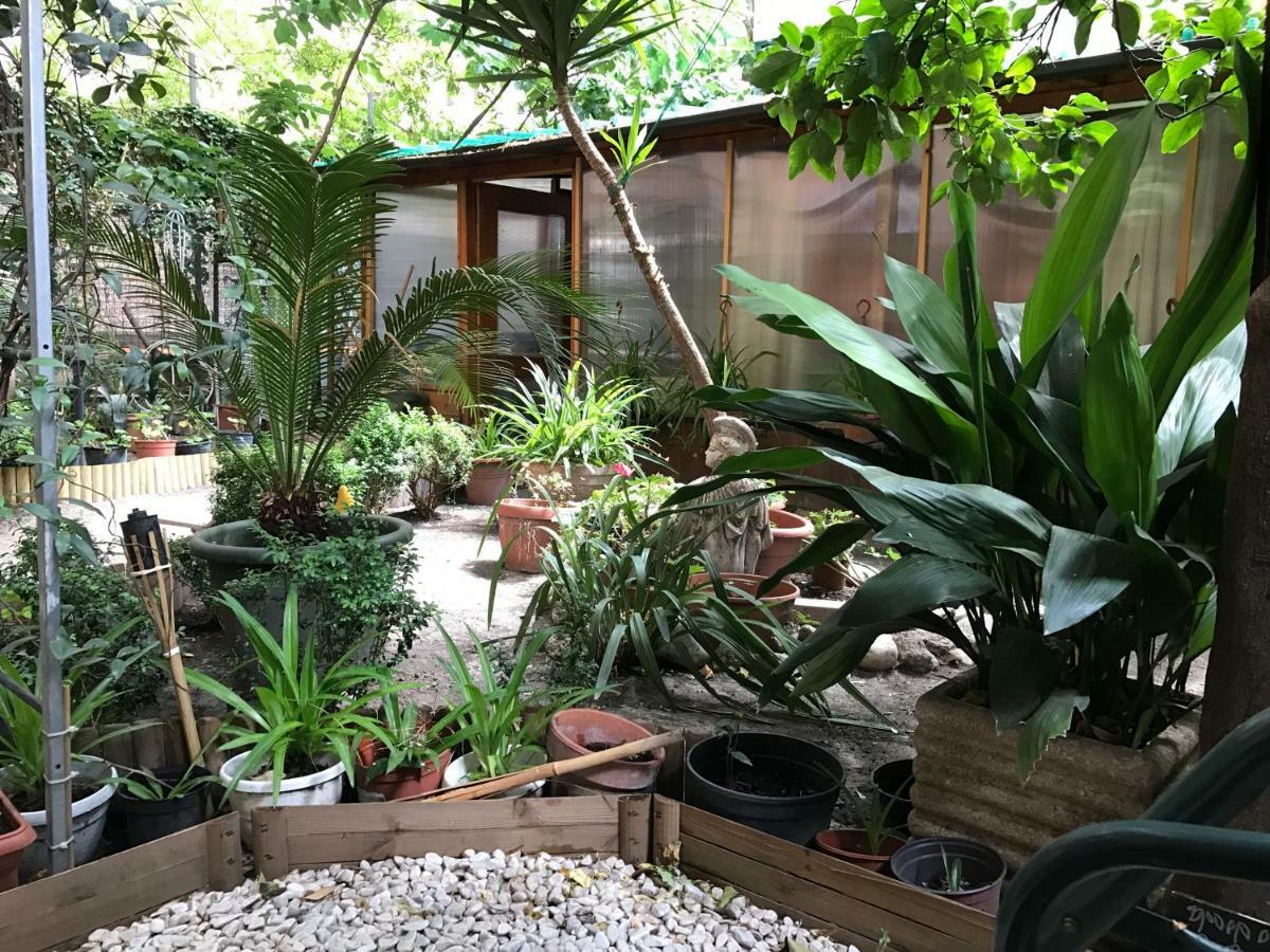 La Casa Di Elena Ξενοδοχείο Ρώμη Εξωτερικό φωτογραφία